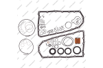 Комплект прокладок и сальников (с уплотнительными кольцами и фильтром картриджем)*