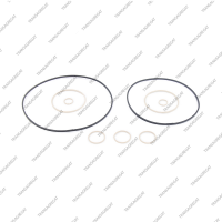 Комплект уплотнительных колец (9шт.)*