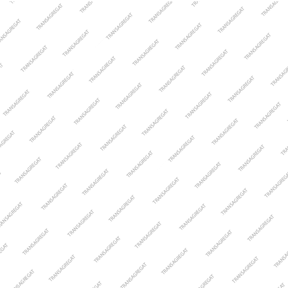 Корпус сцепления E (тип 2, 2015-up, под 5 фрикционных дисков, 48 зубов на валу, #1102-471-030)*