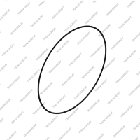 Резиновое кольцо гидротрансформатора (OD 204mm)*